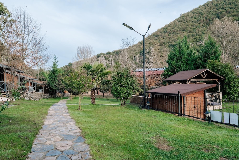 Junior Bungalow photo 3