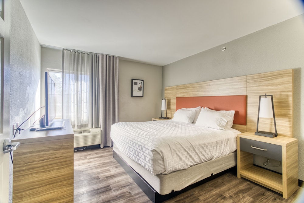 Suite, 1 Bedroom - Photo 1