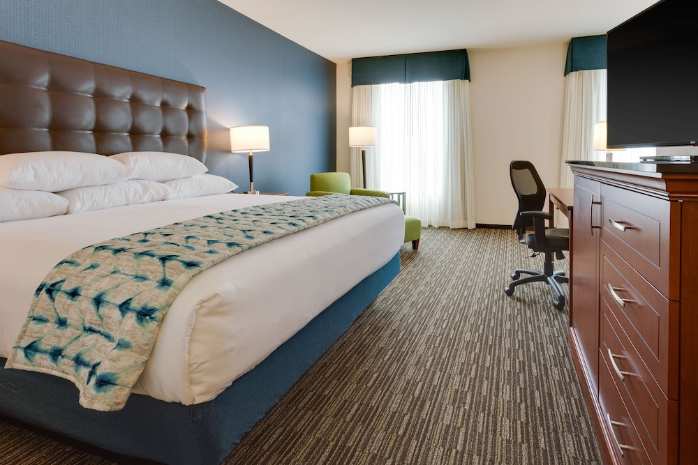 Deluxe Room, 1 King Bed, Accessible, Refrigerator & Microwave (Tub, Upper Floor) photo 1