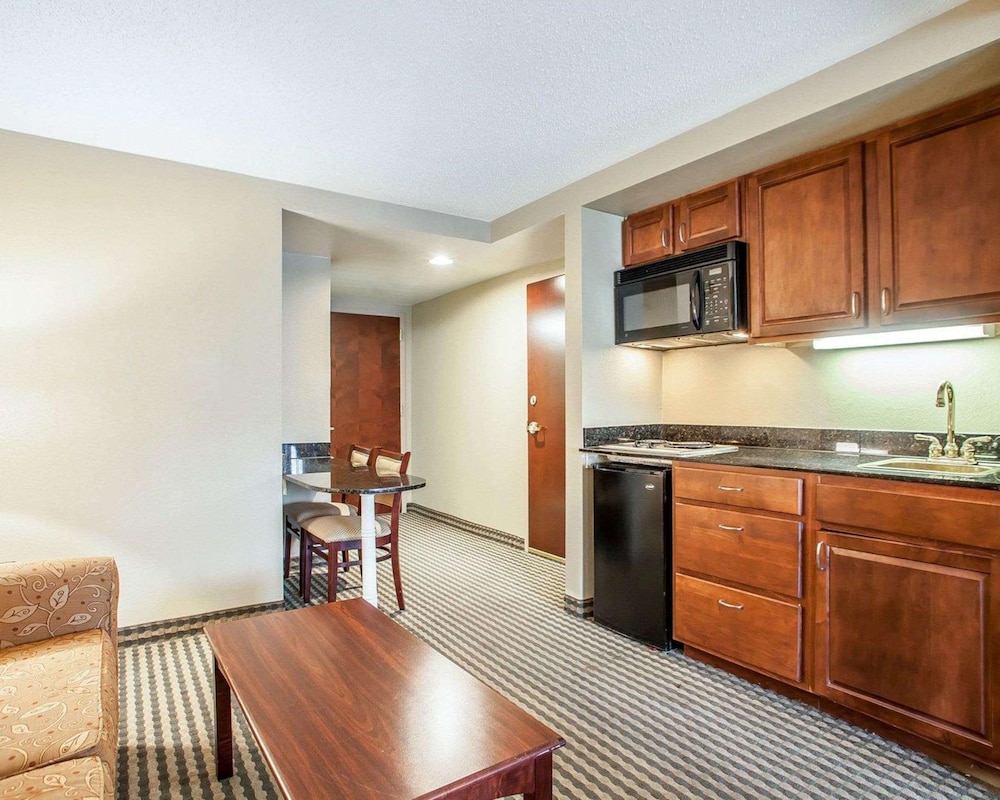 Efficiency, Suite, 1 King Bed with Sofa bed, Non Smoking, Kitchen - Photo 4