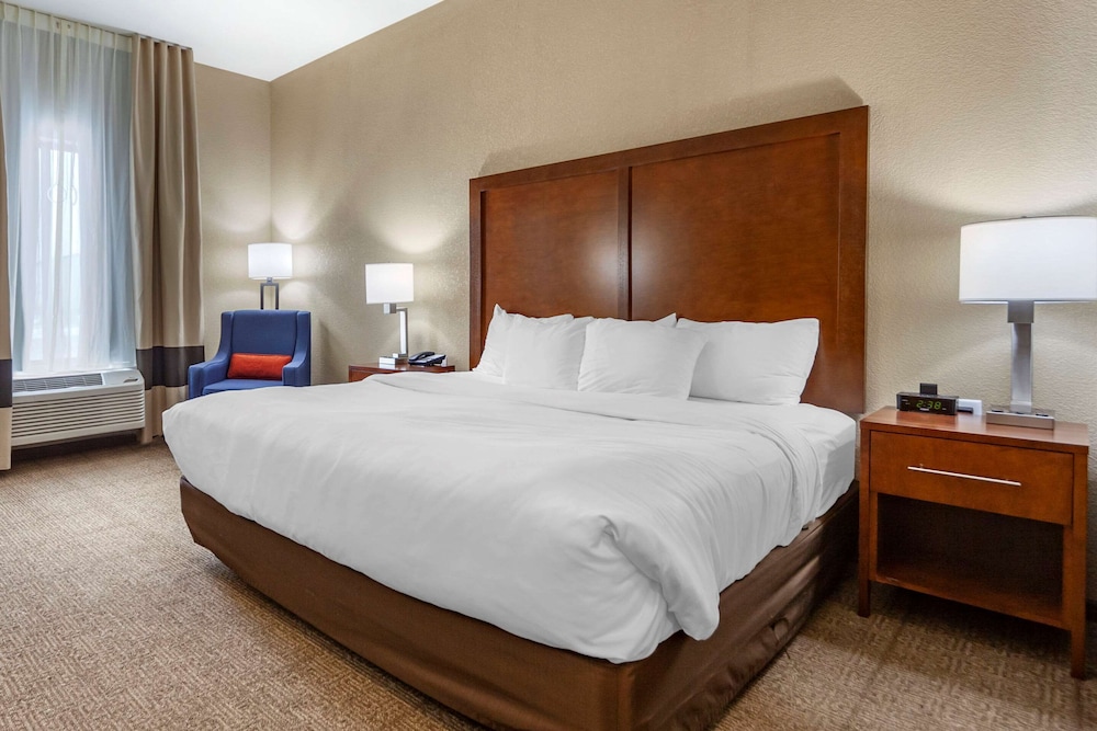 Standard Room, 1 King Bed, Non Smoking (Pet Friendly) photo 2