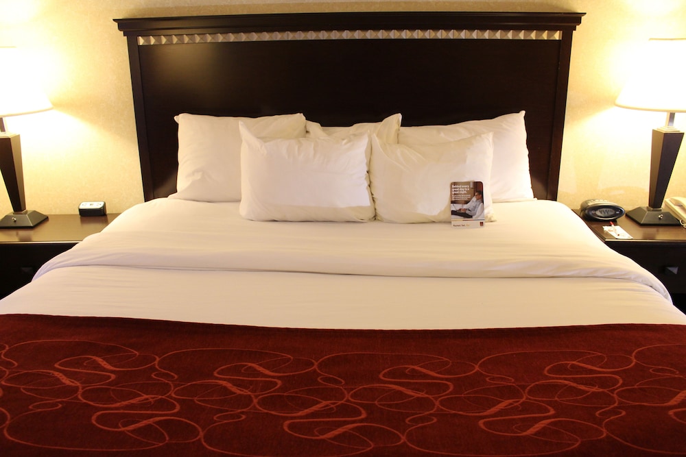 Suite, 1 King Bed - Photo 4