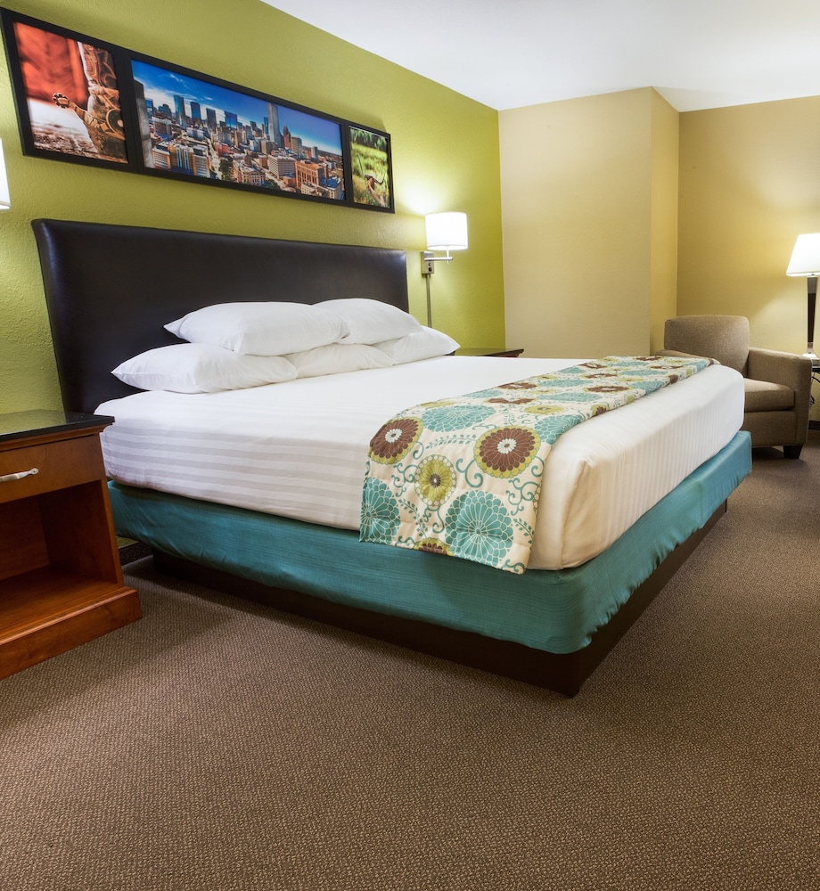 Deluxe Room, 1 King Bed, Mobility Accessible, Non Smoking (Hearing, Roll-in Shower) - Photo 3