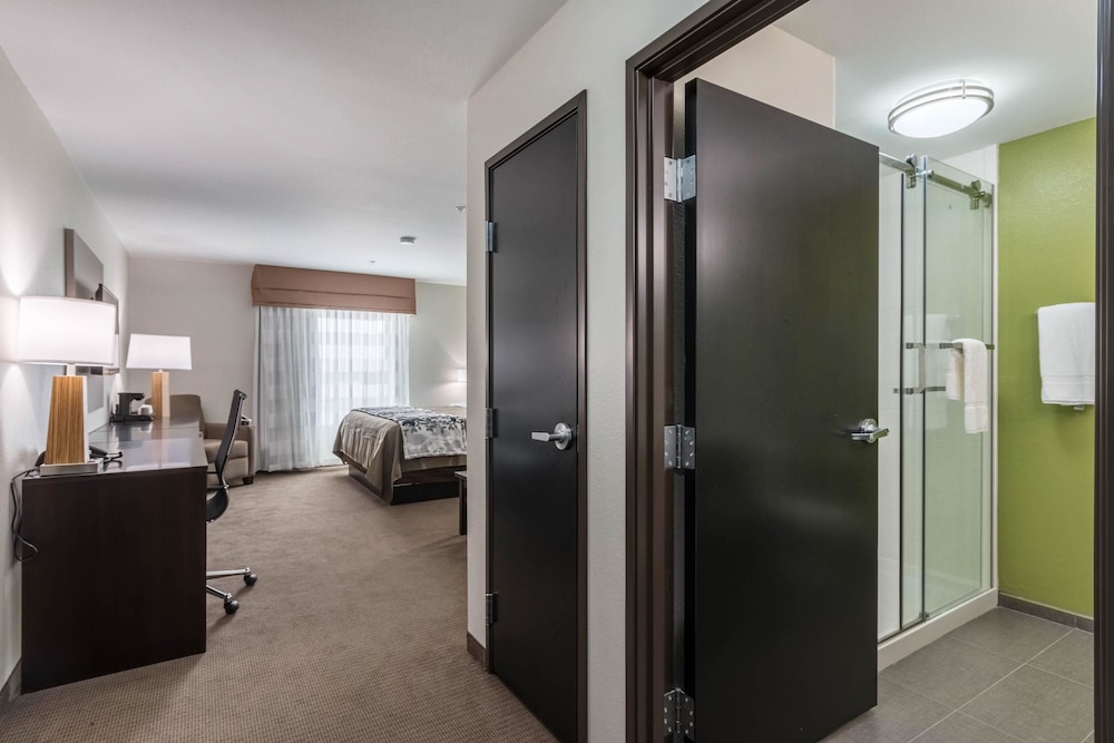 Suite, 1 King Bed, Non Smoking photo 2