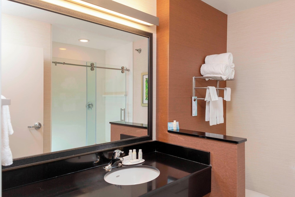 Room, 1 King Bed (Mobility Accessible, Roll-in Shower) photo 2