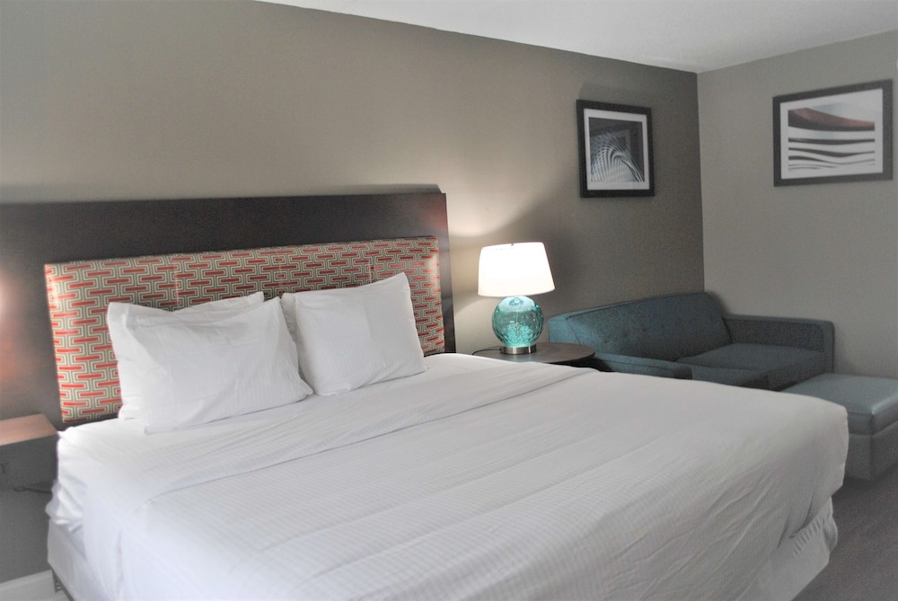 Standard Room, 1 King Bed, Non Smoking, Refrigerator & Microwave (Shower Only) - Photo 1