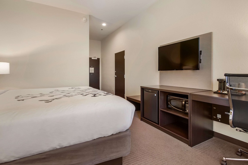 Room, 1 King Bed, Accessible, Non Smoking - Photo 2