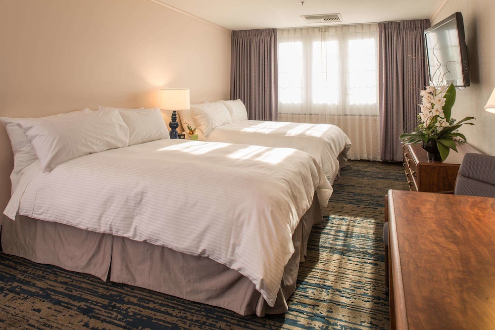 Deluxe Room, 2 Queen Beds photo 1