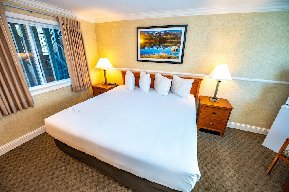 Superior Room, 1 King Bed, Refrigerator & Microwave, Mountain View photo 2