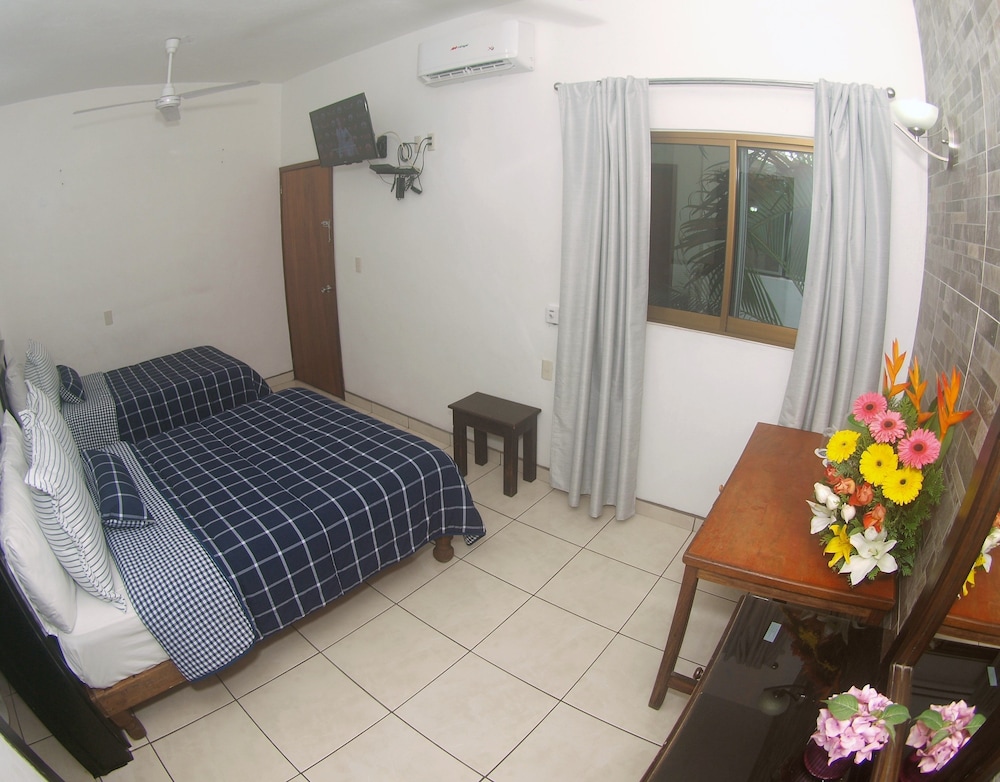 Standard Double Room, 2 Double Beds, Non Smoking photo 2