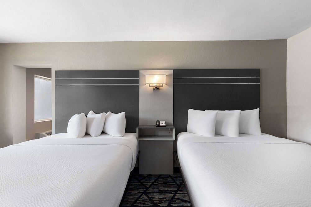 Suite, 1 Bedroom, Non Smoking - Photo 1