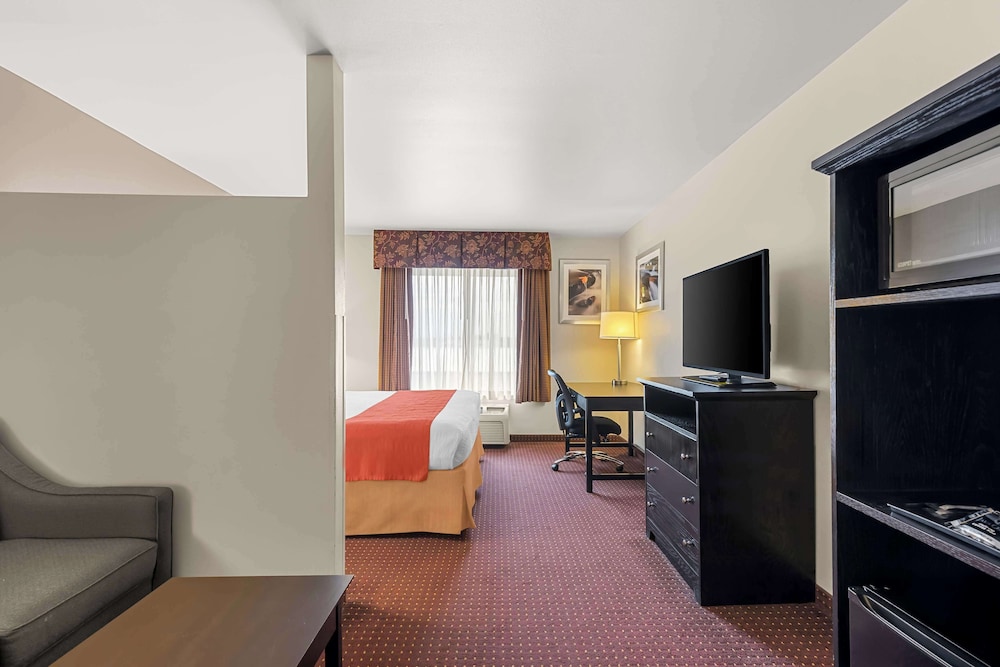 Suite, 1 King Bed, Non Smoking, Microwave (with Sofabed) - Photo 2