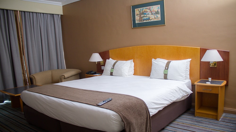 Premium Room, 1 King Bed, Smoking - Photo 8