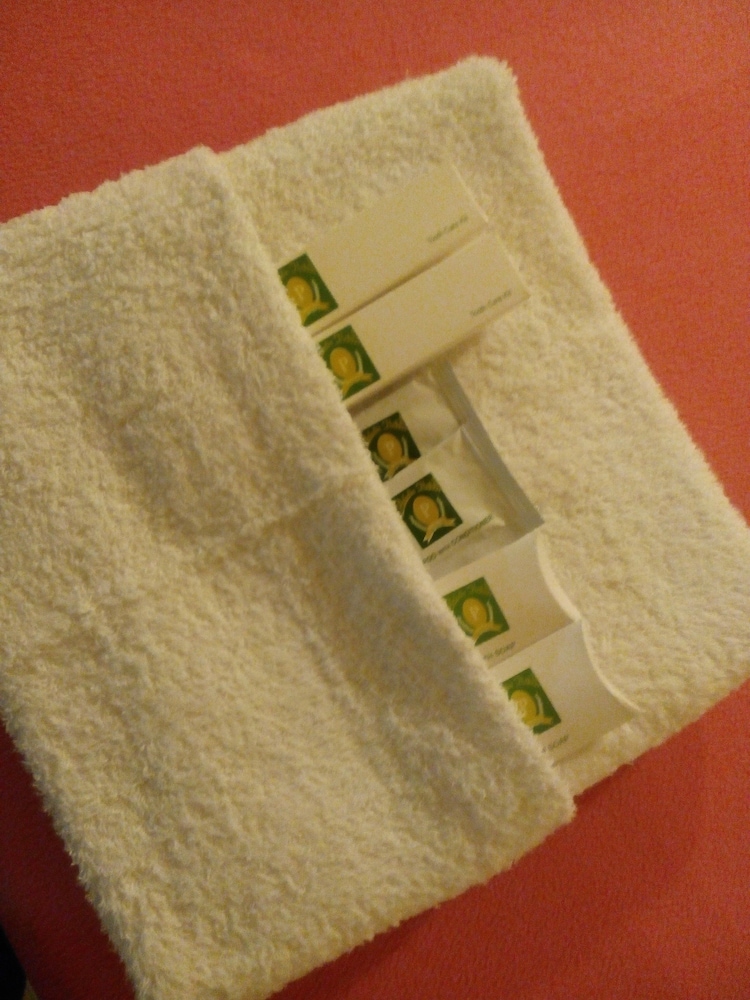 Premier Deluxe (with Air Condition) - Photo 4