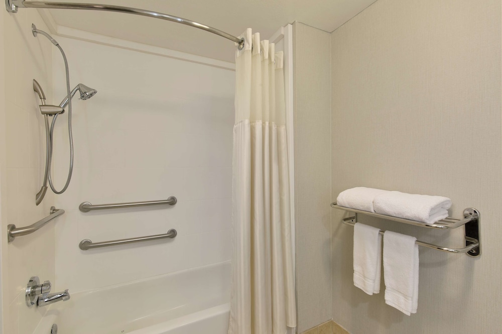 Suite, 1 King Bed, Accessible, Bathtub - Photo 1