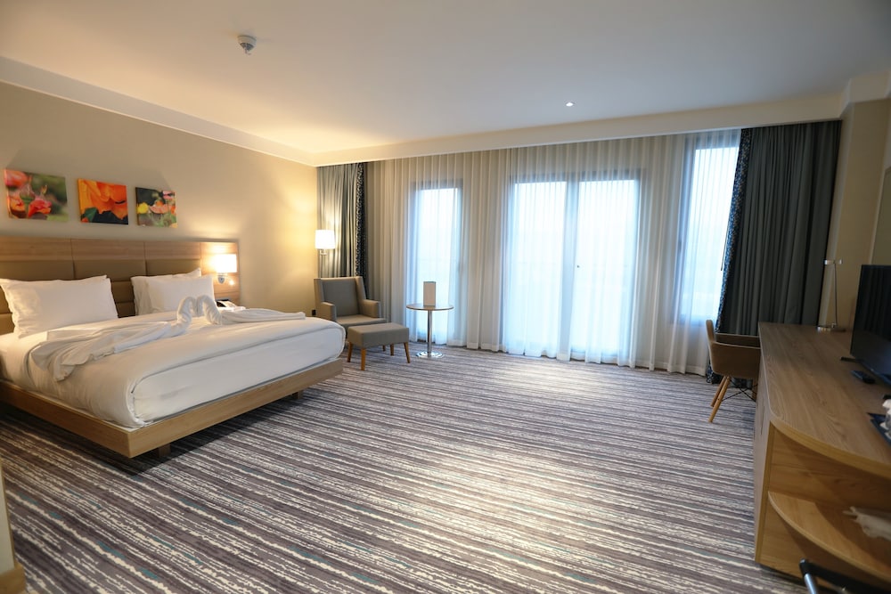 Suite photo 1