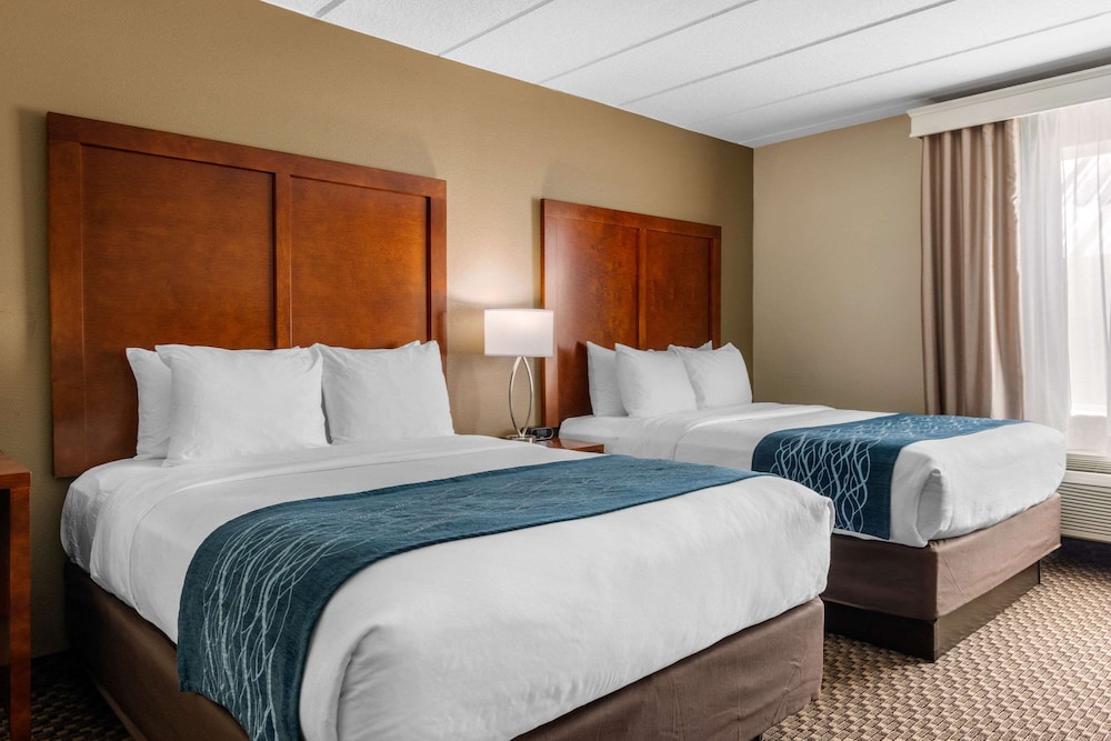 Suite, Multiple Beds, Non Smoking - Photo 3