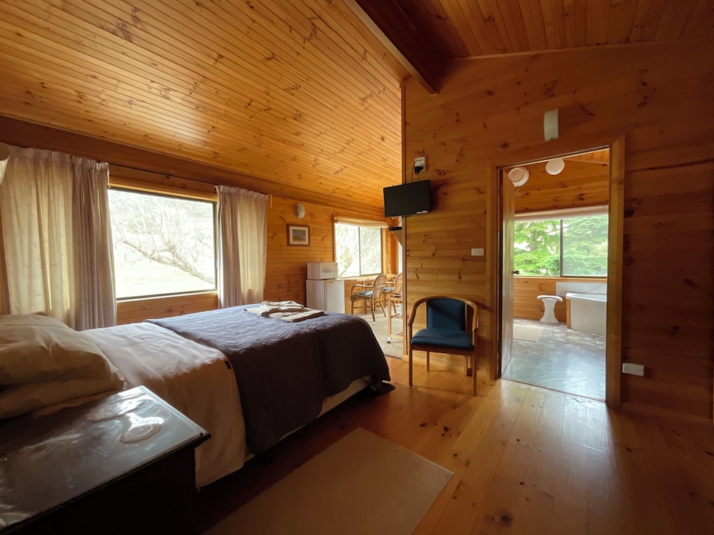 Studio, Jetted Tub, Mountain View photo 2