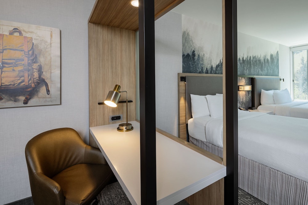 Suite, Multiple Beds, Roll-in Shower photo 3