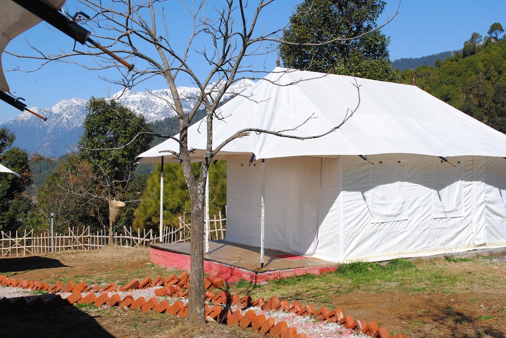 Swiss Luxury Tent photo 2