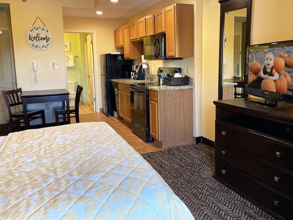 Basic Studio, 1 Queen Bed, Kitchen - Photo 5
