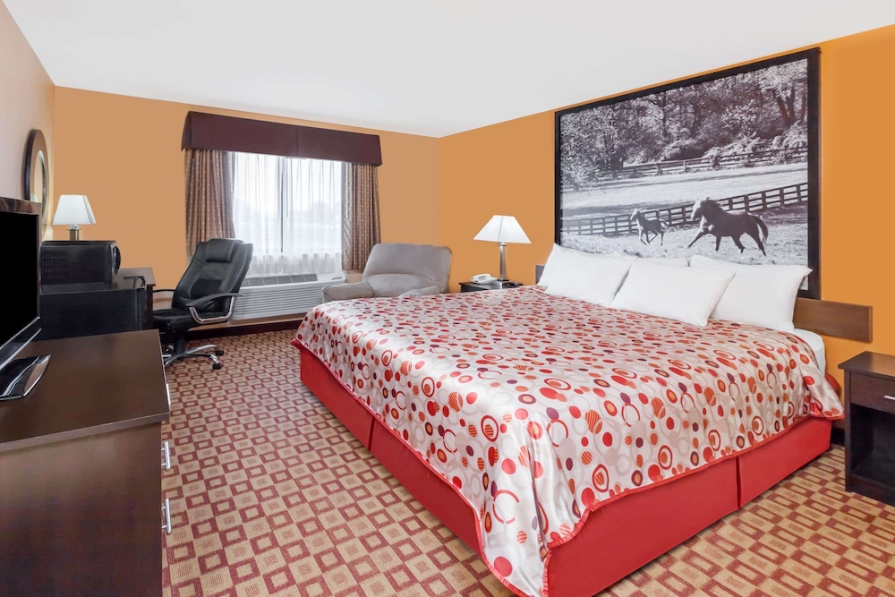 Standard Room, 1 King Bed, Refrigerator & Microwave - Photo 1