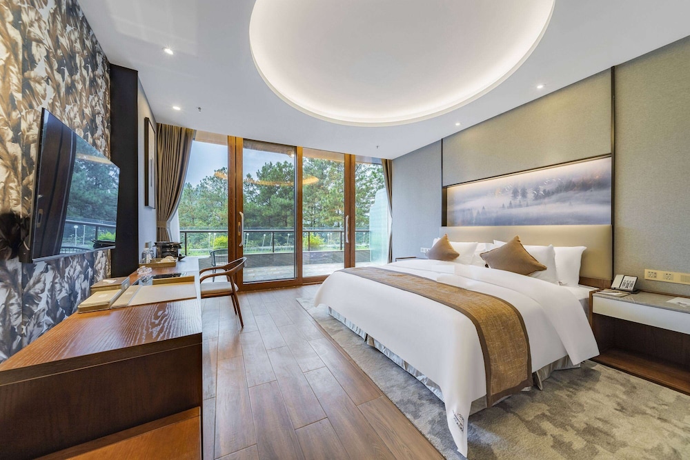 Executive Room, 1 King Bed, Non Smoking