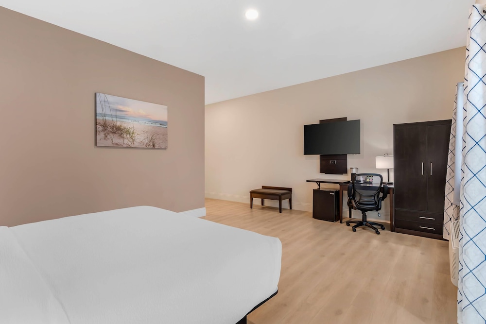 Room, 1 King Bed, Roll-in Shower, Non Smoking (Balcony, Garden Side) photo 3