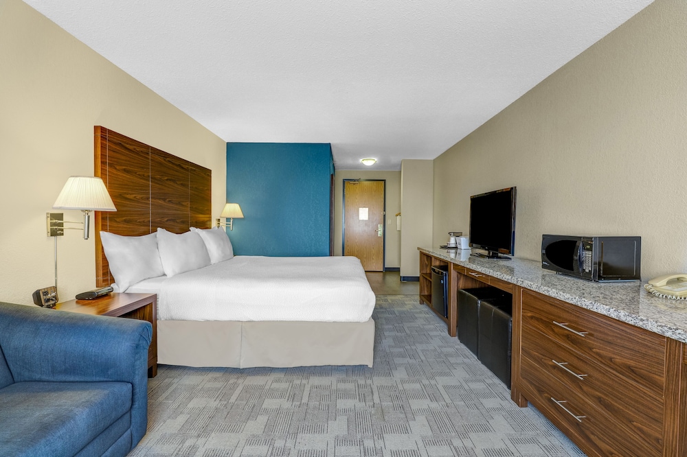 Room, 1 King Bed with Sofa bed, Non Smoking photo 2