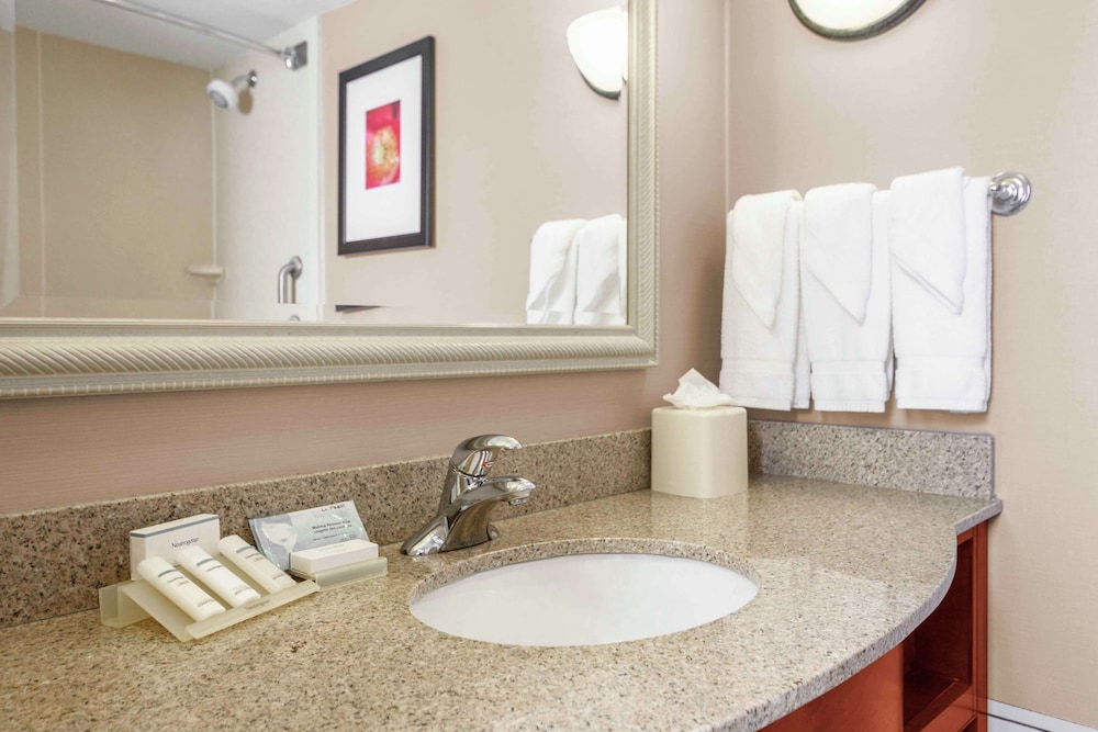Room, 1 King Bed, Accessible (Mobility & Hearing, Roll-in Shower) - Photo 6