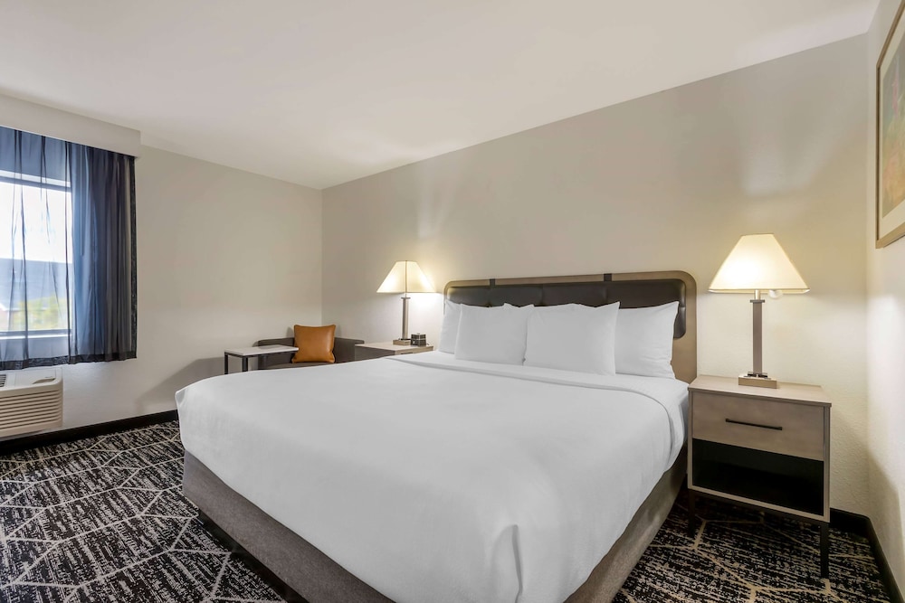 Room, 1 King Bed, Non Smoking photo 3