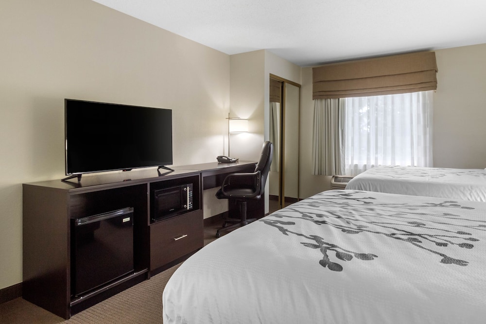 Suite, Multiple Beds, Non Smoking photo 3