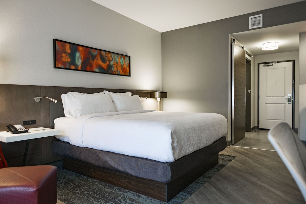 Room, 1 King Bed, Accessible (Hearing) photo 2