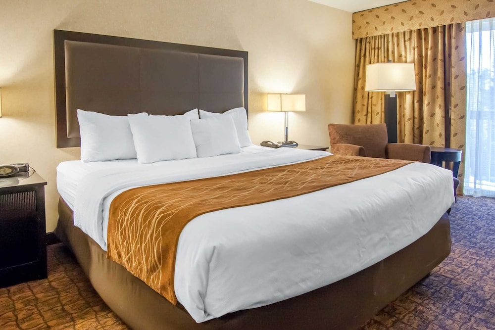 Standard Room, 1 Single Bed - Photo 6