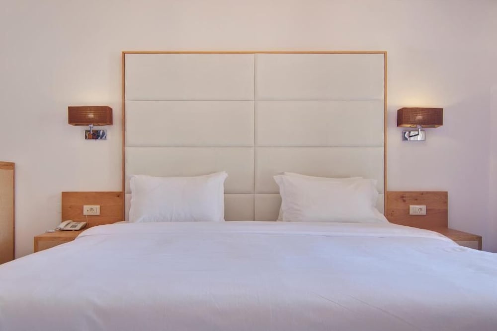 Standard Double Room with Balcony and Garden View photo 3