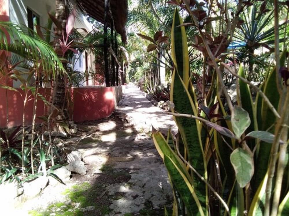 Classic Double Room, 2 Queen Beds, Garden View photo 2
