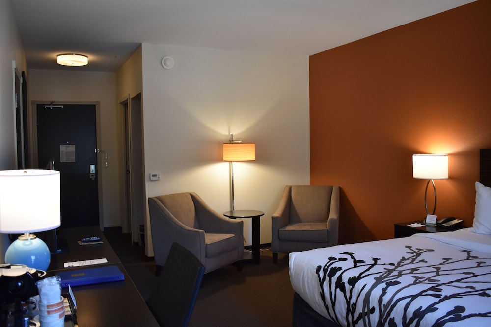 Standard Room, 1 King Bed, Non Smoking photo 3