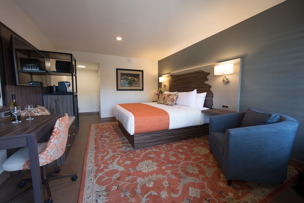 Deluxe Single Room, 1 King Bed, Non Smoking - Photo 1