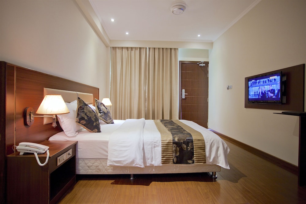 Deluxe Double or Twin Room, City View photo 3