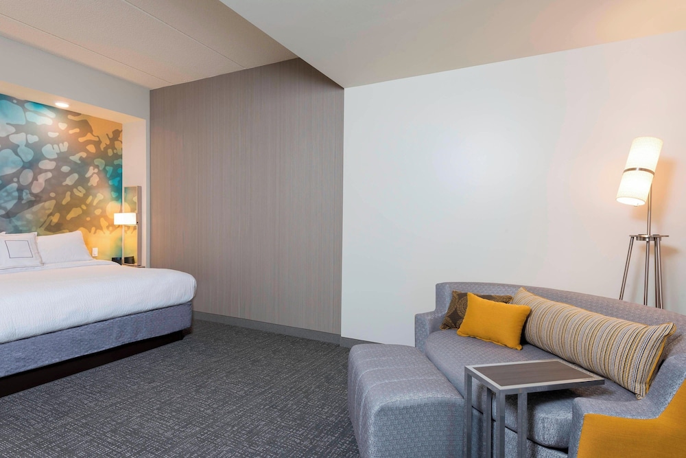 Room, 1 King Bed with Sofa bed
