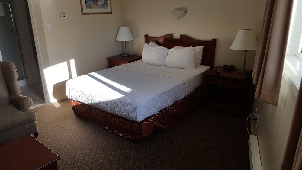 Premium Room, 1 Queen Bed - Photo 8