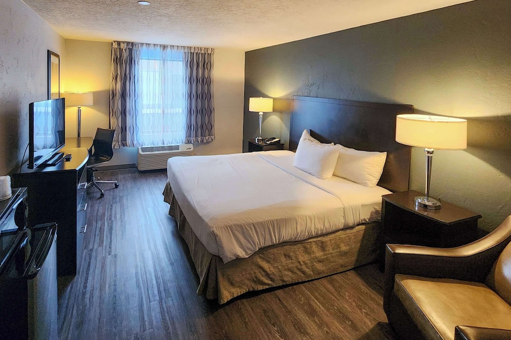 Room, 1 King Bed, Non Smoking