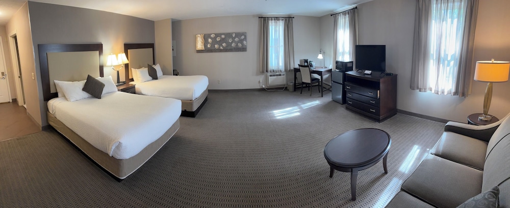 Single Room, Multiple Beds, Roll-in Shower photo 1