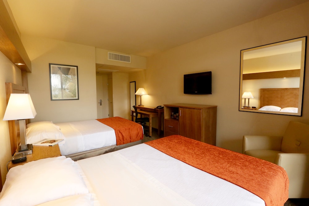 Double Room, 2 Double Beds photo 2