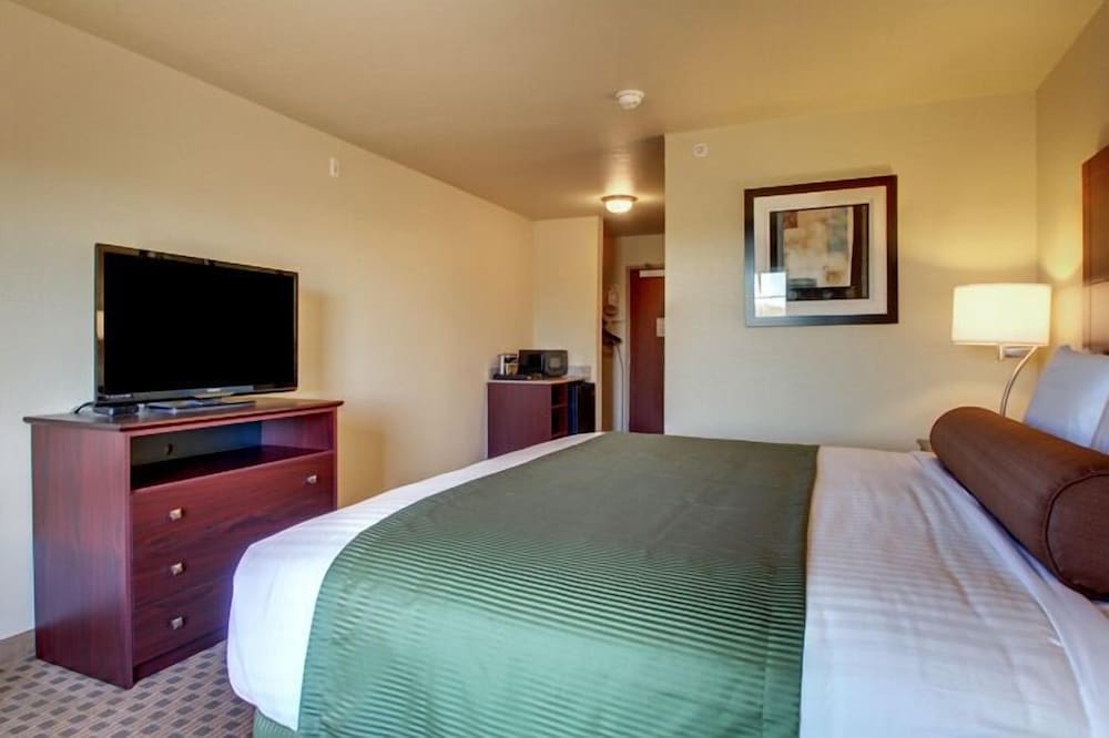 Suite, 1 King Bed, Non Smoking photo 3