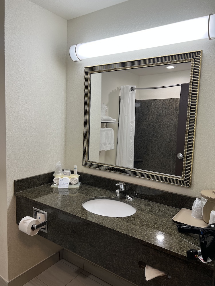 Standard Room, 1 King Bed, Accessible (Mobility, Roll-In Shower) - Photo 4