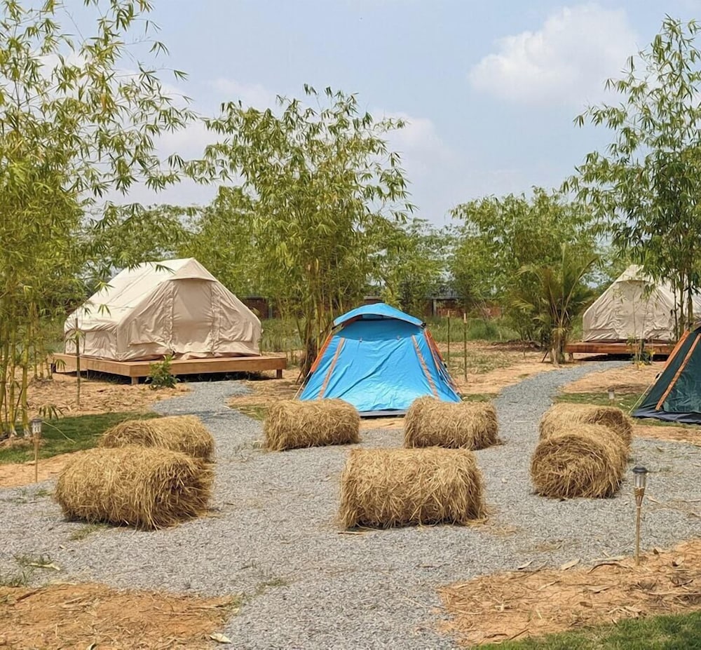 Basic Tent photo 2