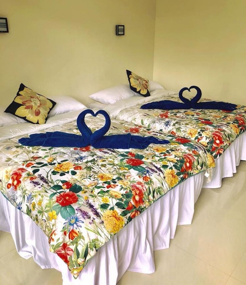 Twin Room photo 1