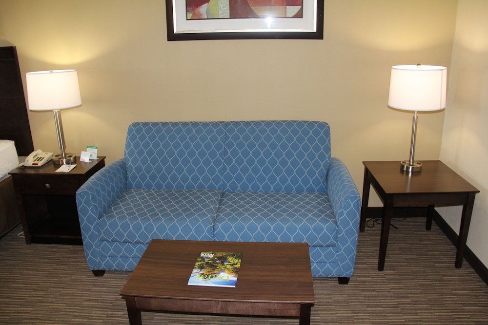 Suite, 1 King Bed, Jetted Tub, River View - Photo 5