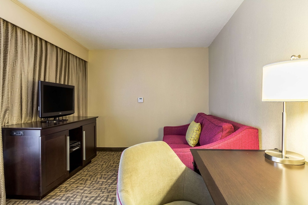 Suite, 1 King Bed, Non Smoking - Photo 1
